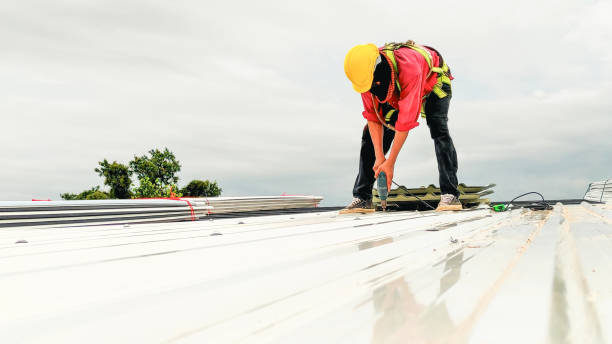 Best Roof Waterproofing  in Oceana, WV
